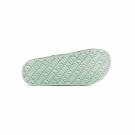 Shroom Sage thumbnail